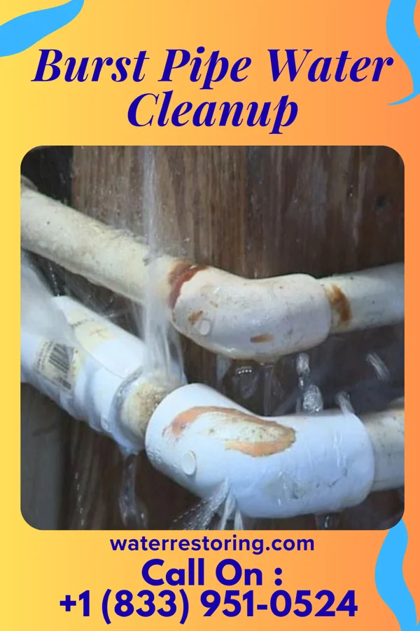 Burst Pipe Water Cleanup in Hayti, SD