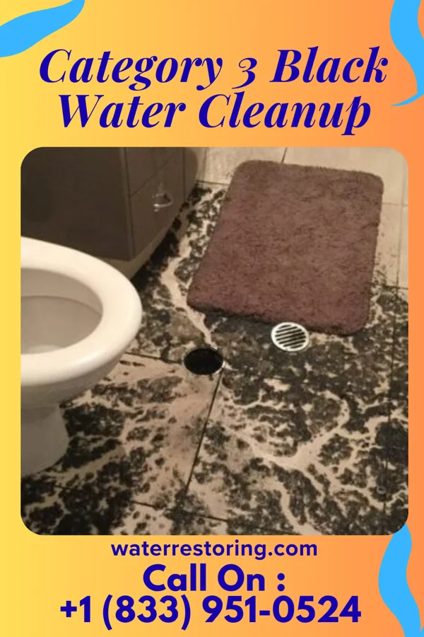 Category 3 Black Water Cleanup in Hayti, SD